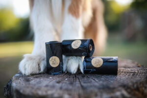 Hundekot umweltfreundlich entsorgen