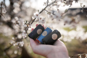 Hundekot umweltfreundlich entsorgen