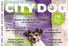 CITY DOG – Ausgabe 01 1026