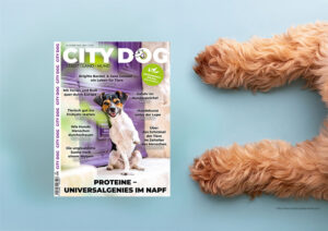 Die neue Ausgabe ist da