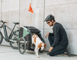 Sicher Fahrradfahren mit Hund