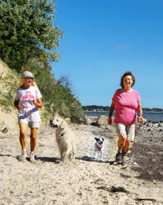 Hundewanderführer durch den Norden