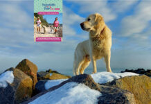 Küstenkläffer on tour – Ausflüge und Events mit Hund