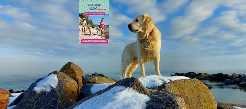 Reisen mit Hund-Kuestenklaeffer-Schöneberger Strand-Aufmacher-neu