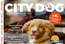 CITY DOG – Ausgabe 02 2026