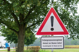 Gefährliche Nachtfalter