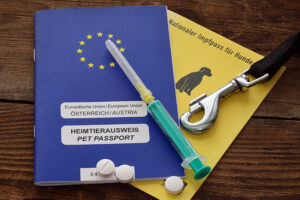 Hunde brauchen einen Impfpass