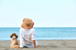 Hunde geistig fit halten