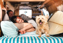 Camperspezial – die besten Gadgets für Camping mit Hund Tolle Campergadgets für Zwei- und Vierbeiner