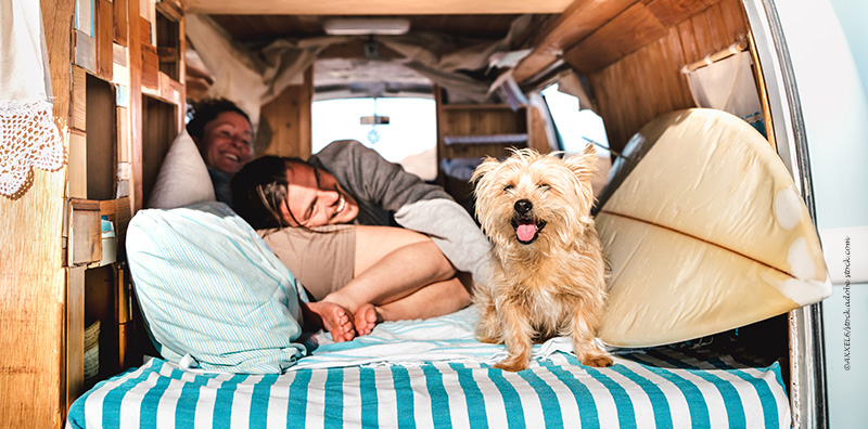 Tolle Campergadgets für Zwei- und Vierbeiner