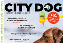 CITY DOG – Ausgabe 03 2026