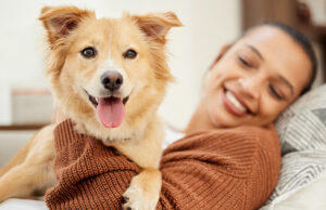 Rechtliche Beratung für Hund und Halter