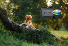 PAJ GPS – Tracking auch für kleine Felle