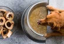 Knochenbrühe für Hunde – Wann ist sie sinnvoll?