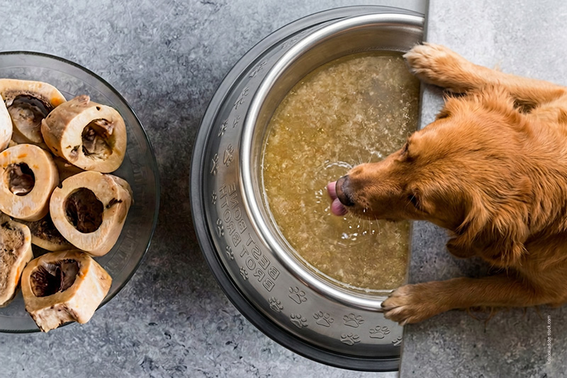 Hundeernährung-Knochenbrühe-Jarmino