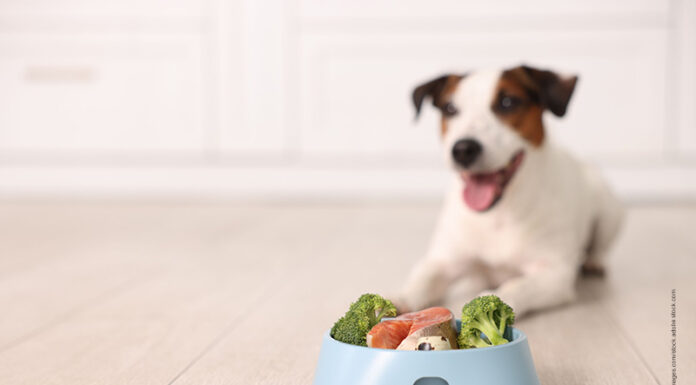 Showroom – Futterkonzepte für spezielle Ansprüche Futter für besondere Ernährungsansprüche