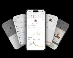 Modernes GPS-Tracking für den Hund