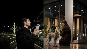 Modernes Hundetracking