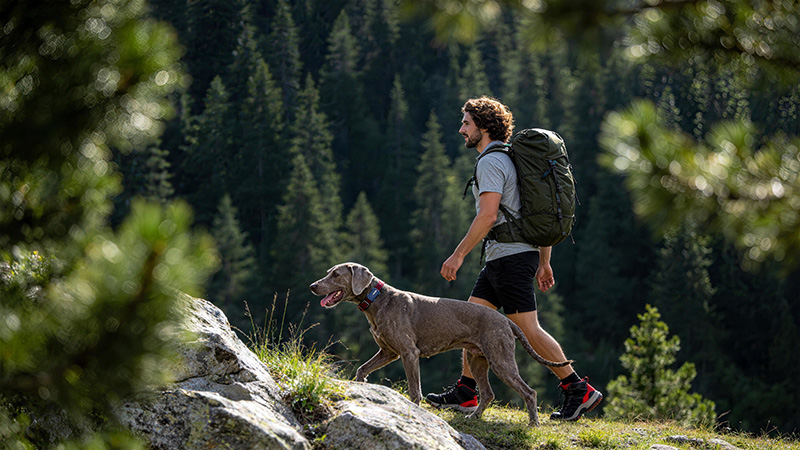 Leben mit Hund-MOVA SureTrack Pro Tracking für den Hund